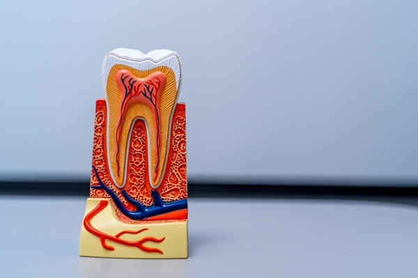 How A Root Canal Can Save Your Tooth